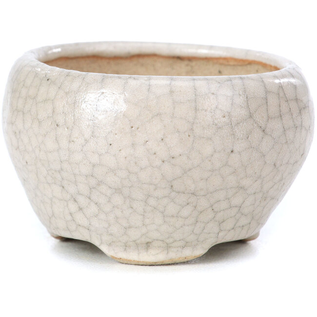Vaso per bonsai rotondo beige di Bonsai - 60 x 60 x 35 mm