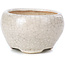 Pot à bonsaï rond beige par Bonsai - 60 x 60 x 35 mm
