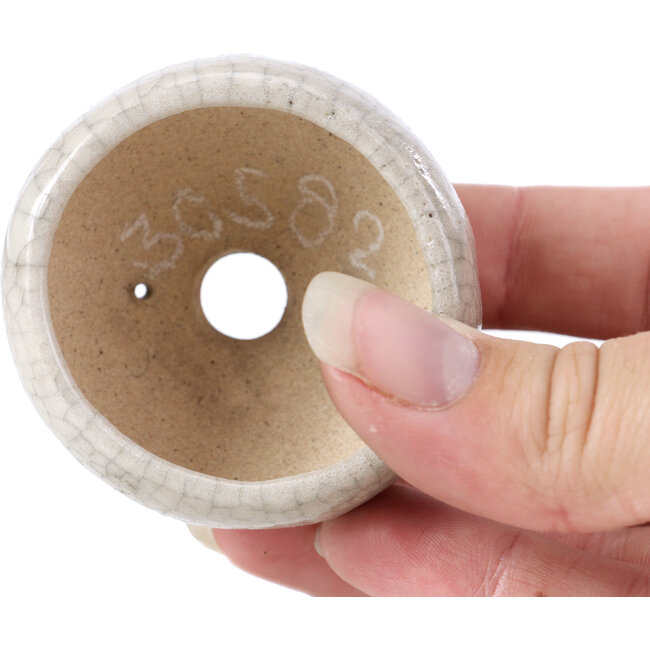 Pot à bonsaï rond beige par Bonsai - 60 x 60 x 35 mm