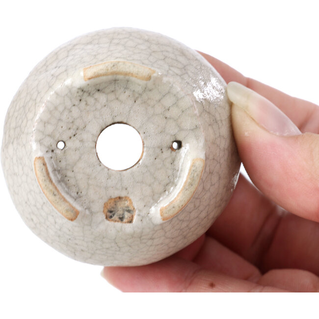 Ronde beige bonsaipot van Bonsai - 60 x 60 x 35 mm