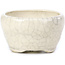 Pot à bonsaï rond beige par Bonsai - 60 x 60 x 35 mm
