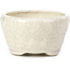 Maceta de bonsái redonda beige de Bonsai - 60 x 60 x 35 mm