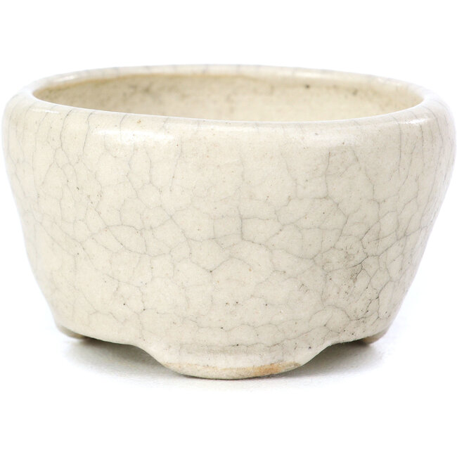 Pot à bonsaï rond beige par Bonsai - 60 x 60 x 35 mm