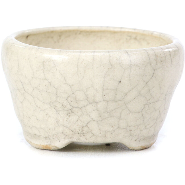 Pot à bonsaï rond beige par Bonsai - 60 x 60 x 35 mm