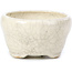 Vaso per bonsai rotondo beige di Bonsai - 60 x 60 x 35 mm