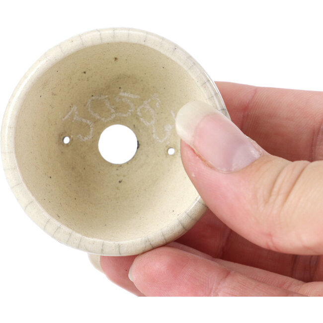 Ronde beige bonsaipot van Bonsai - 60 x 60 x 35 mm