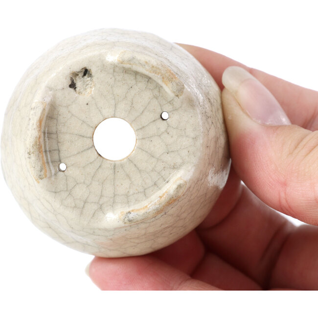 Pot à bonsaï rond beige par Bonsai - 60 x 60 x 35 mm