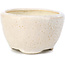 Vaso per bonsai rotondo beige di Bonsai - 60 x 60 x 35 mm