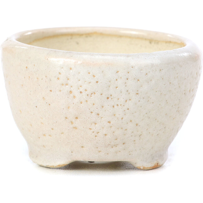 Pot à bonsaï rond beige par Bonsai - 60 x 60 x 35 mm