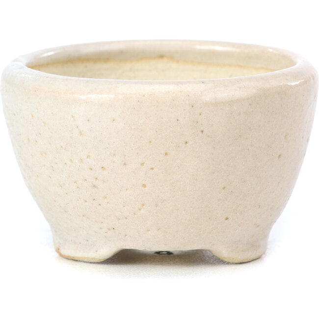 Pot à bonsaï rond beige par Bonsai - 60 x 60 x 35 mm