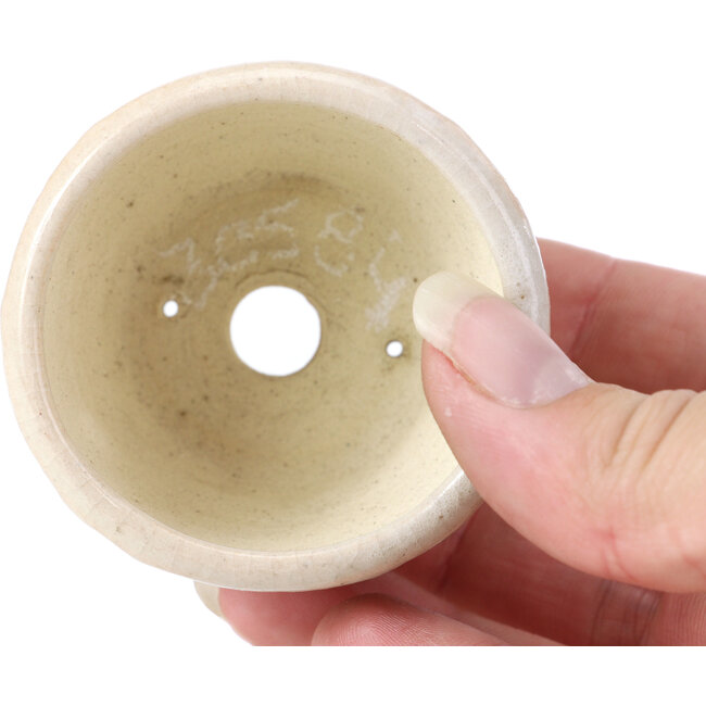 Round beige bonsai pot by Bonsai - 60 x 60 x 35 mm