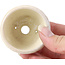 Pot à bonsaï rond beige par Bonsai - 60 x 60 x 35 mm