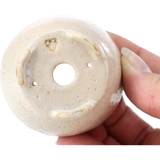 Round beige bonsai pot by Bonsai - 60 x 60 x 35 mm