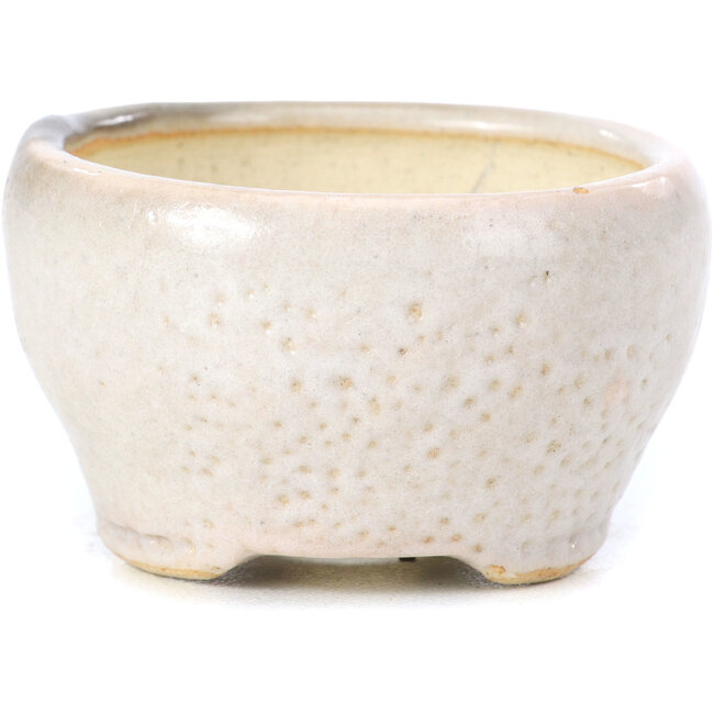 Runde beige Bonsaischale von Bonsai - 60 x 60 x 35 mm