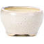 Round beige bonsai pot by Bonsai - 60 x 60 x 35 mm