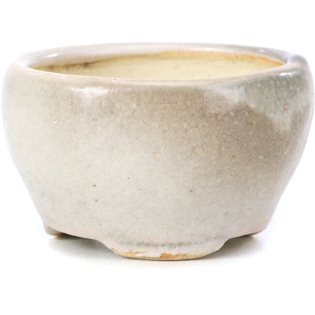 Vaso per bonsai rotondo beige di Bonsai - 60 x 60 x 35 mm