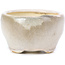 Pot à bonsaï rond beige par Bonsai - 60 x 60 x 35 mm