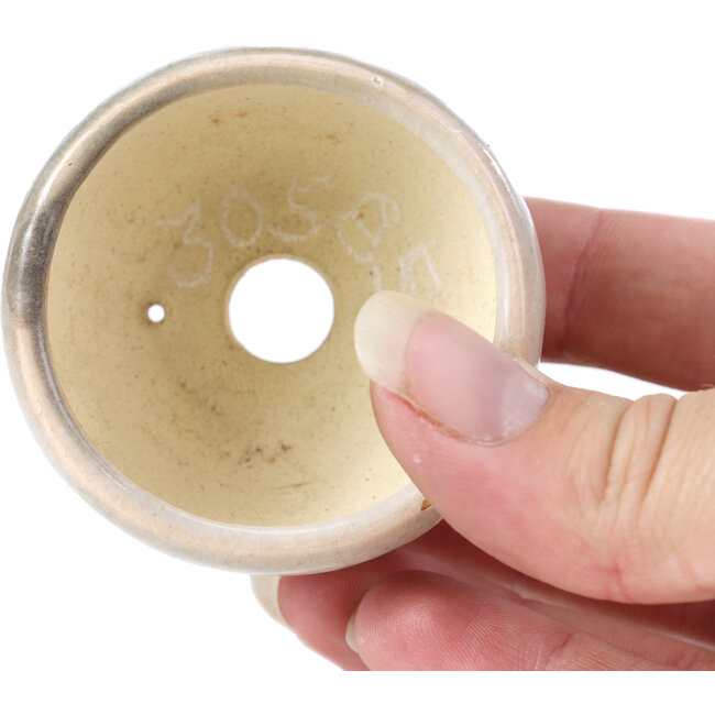 Maceta de bonsái redonda beige de Bonsai - 60 x 60 x 35 mm