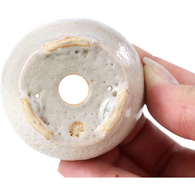 Pot à bonsaï rond beige par Bonsai - 60 x 60 x 35 mm