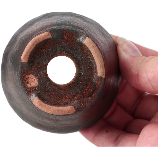Round brown bonsai pot by Bonsai - 71 x 71 x 45 mm