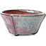 Round pink and blue bonsai pot by Bonsai - 72 x 72 x 41 mm