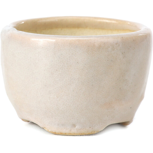 Round off white bonsai pot by Bonsai - 45 x 45 x 30 mm