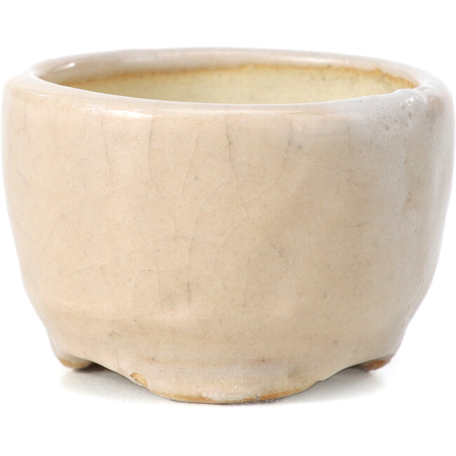 Pot à bonsaï rond blanc par Bonsai - 45 x 45 x 30 mm