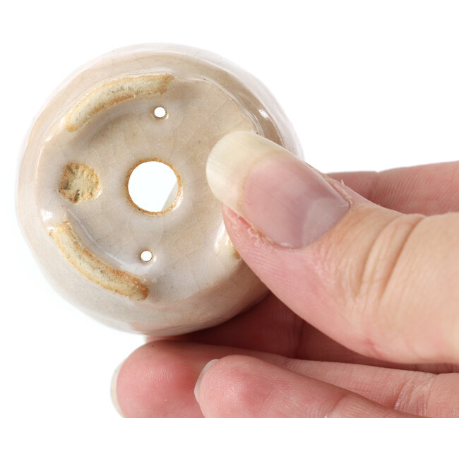 Ronde witte bonsaipot van Bonsai - 45 x 45 x 30 mm