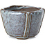 Square blue bonsai pot by Bonsai - 56 x 56 x 40 mm