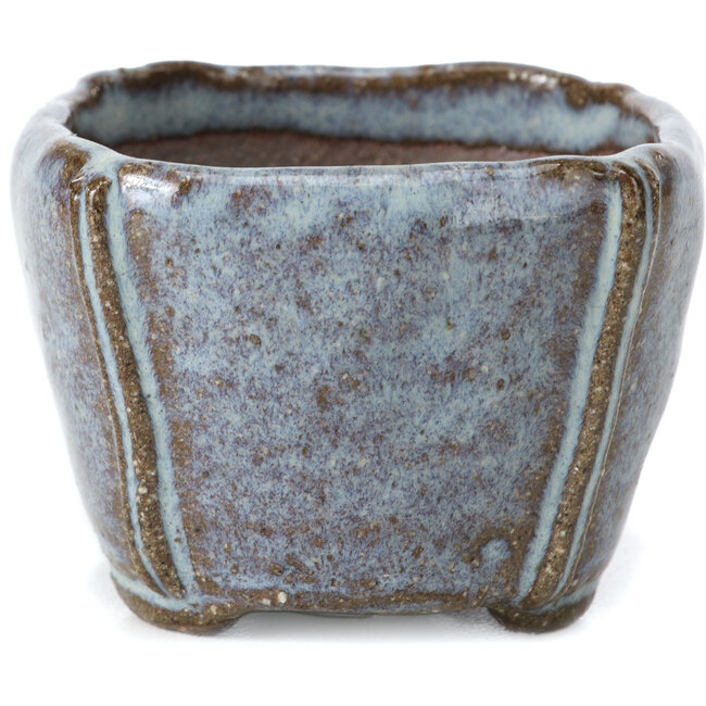 Square blue bonsai pot by Bonsai - 56 x 56 x 40 mm