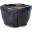 Square blue bonsai pot by Bonsai - 57 x 57 x 40 mm