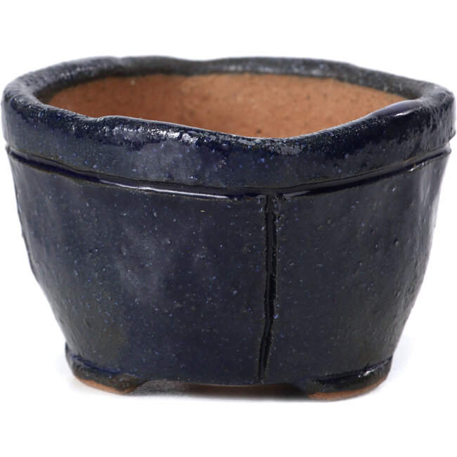 Square blue bonsai pot by Bonsai - 57 x 57 x 40 mm