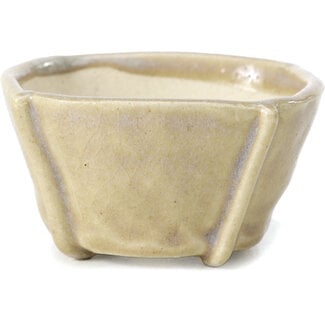 Bonsai 66 mm square beige bonsai pot by Bonsai, Japan