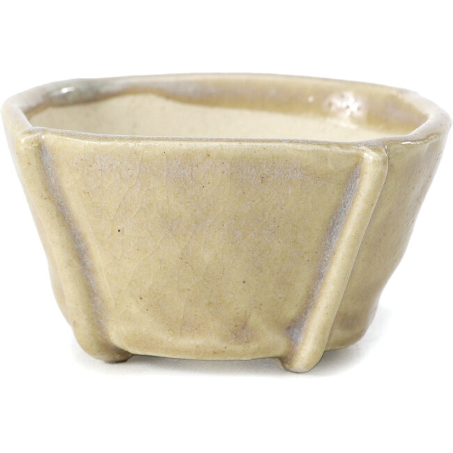 Pot à bonsaï carré beige par Bonsai - 66 x 66 x 35 mm