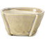Square beige bonsai pot by Bonsai - 66 x 66 x 35 mm