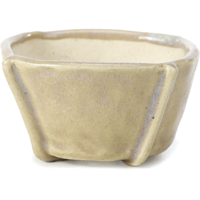 Maceta de bonsái cuadrada beige de Bonsai - 66 x 66 x 35 mm