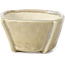 Square beige bonsai pot by Bonsai - 66 x 66 x 35 mm