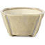 Square beige bonsai pot by Bonsai - 66 x 66 x 35 mm