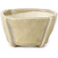 Pot à bonsaï carré beige par Bonsai - 66 x 66 x 35 mm