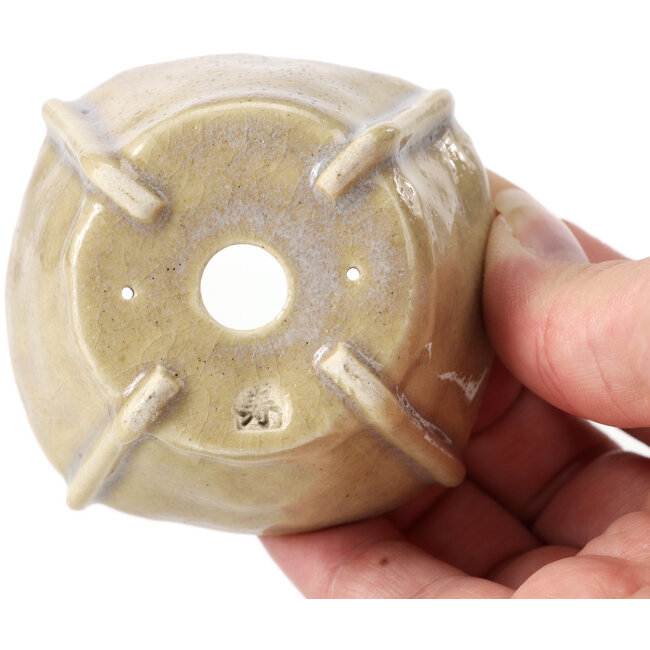 Square beige bonsai pot by Bonsai - 66 x 66 x 35 mm