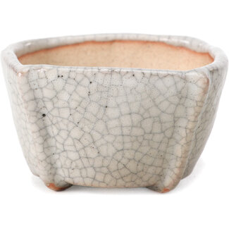 Bonsai 63 mm quadratische weiße Craquelé-Bonsaischale von Bonsai, Japan