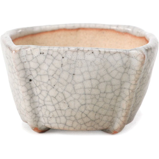 Maceta de bonsái cuadrada blanca craquelé de Bonsai - 63 x 63 x 35 mm