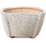 Square white craquelé bonsai pot by Bonsai - 63 x 63 x 35 mm