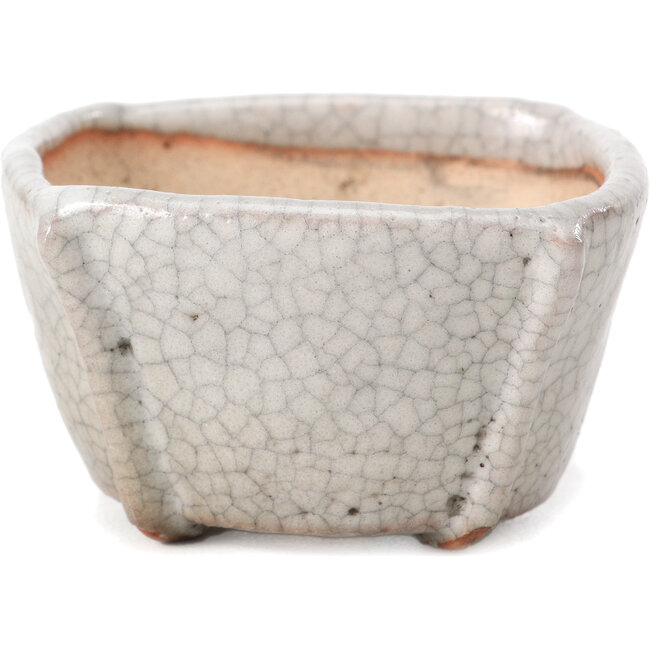 Maceta de bonsái cuadrada blanca craquelé de Bonsai - 63 x 63 x 35 mm