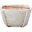 Maceta de bonsái cuadrada blanca craquelé de Bonsai - 63 x 63 x 35 mm