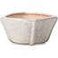 Square white craquelé bonsai pot by Bonsai - 63 x 63 x 35 mm