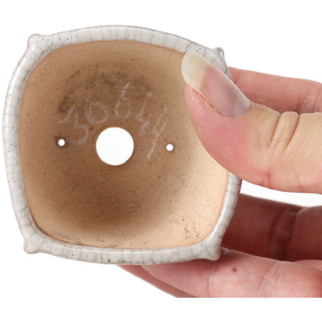 Quadratische weiße Craquelé-Bonsaischale von Bonsai - 63 x 63 x 35 mm