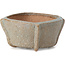 Pot à bonsaï carré bleu par Bonsai - 55 x 55 x 30 mm