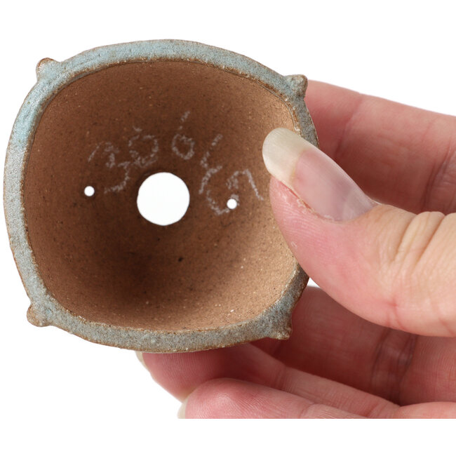 Vaso per bonsai quadrato blu di Bonsai - 55 x 55 x 30 mm