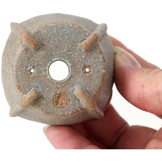 Pot à bonsaï carré bleu par Bonsai - 55 x 55 x 30 mm